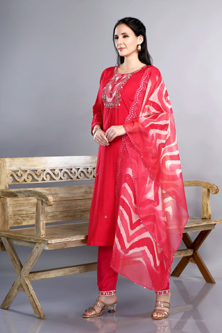 Red Colour Kurta With Handwork Neckline Paired With Pant And Dupatta